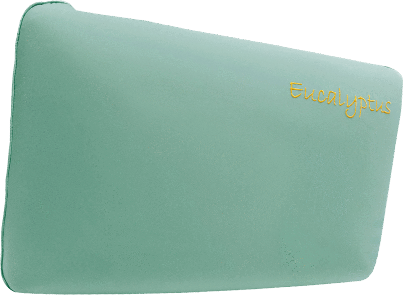 Aroma Eucalyptus Infused Memory Foam Pillow
