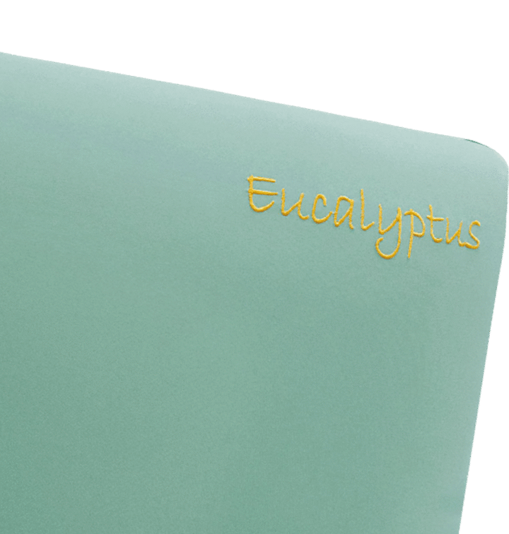 Aroma Eucalyptus Infused Memory Foam Pillow
